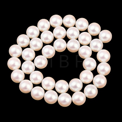 Electroplated Shell Pearl Beads Strands BSHE-C011-01C-1