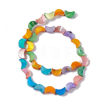 Natural Freshwater Shell Beads Strands SHEL-F003-04-1