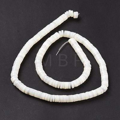 Natural Trochid Shell/Trochus Shell Beads Strands X-SSHEL-L016-13E-1