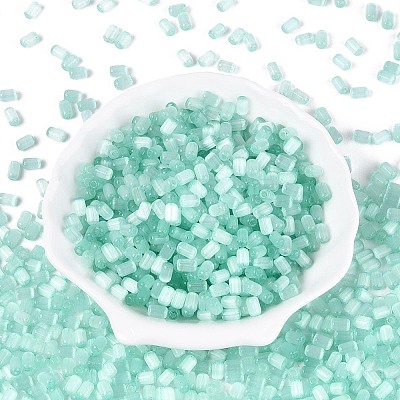 Drawbench Style Glass Seed Beads SEED-N008-10H-1