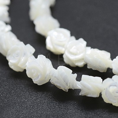 Natural White Shell Beads Strands SSHEL-P015-01A-8mm-1