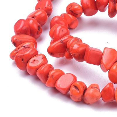 Natural Magnesite Beads Strands TURQ-P001-02A-10-1