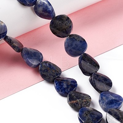 Natural Sodalite Beads Strands G-O120-14-1