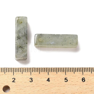 Natural Labradorite Pendants G-L593-01C-1