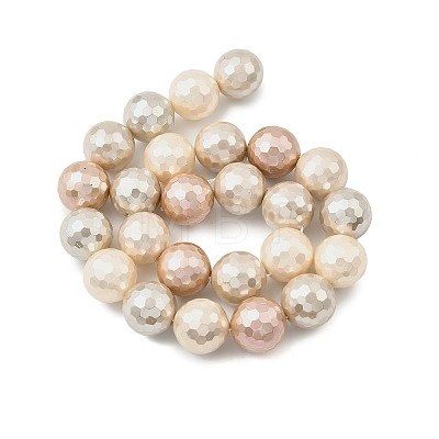 Faceted Round Shell Pearl Beads Strands BSHE-XCP0001-24B-01-1