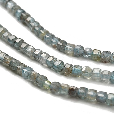 Natural Apatite Beads Strands G-B107-C01-01-1