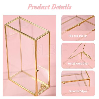 Transparent Glass Jewelry Organizer Display Cases with Metal Frame AJEW-WH0410-465A-1-1