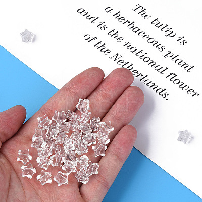 Transparent Acrylic Beads MACR-S373-45-B-1