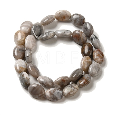 Natural Crazy Lace Agate Beads Strands G-G102-B01-01-1