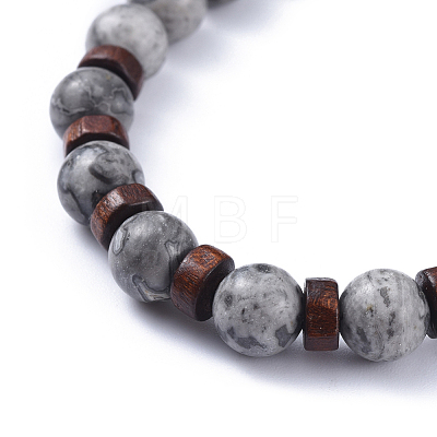 Natural Picasso Jasper Stretch Bracelets BJEW-JB04492-05-1