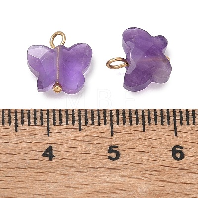 Natural Amethyst Pendants KK-D289-61G-03-1