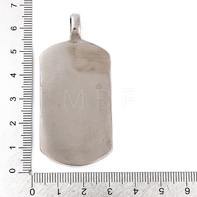 316 Surgical Stainless Steel Big Pendants STAS-Z073-56AS-03-1