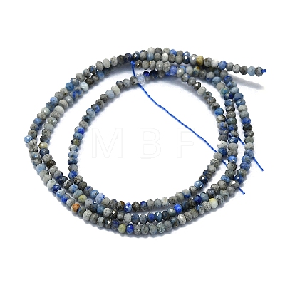 Natural Lapis Lazuli Beads Strands G-G106-A18-01-1