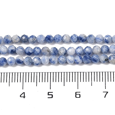 Natural Blue Spot Jasper Beads Strands G-A252-A02-02-1