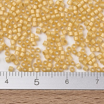 MIYUKI Delica Beads SEED-J020-DB2186-1