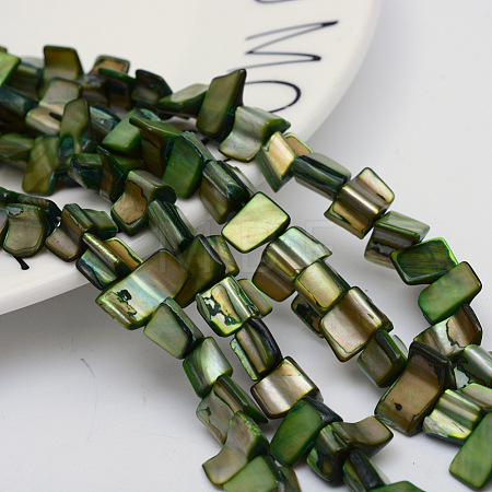 Natural Shell Beads Strands X-PBB050Y-1