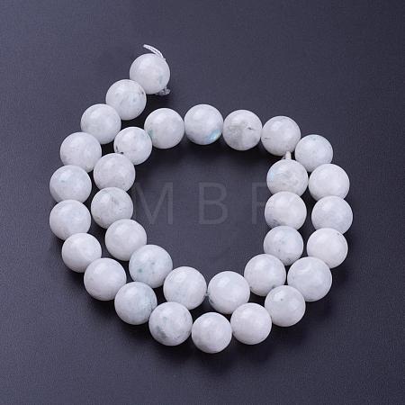 Natural Rainbow Moonstone Bead Strands G-G970-37-12mm-1