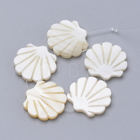 Natural Freshwater Shell Beads SHEL-T007-03-1