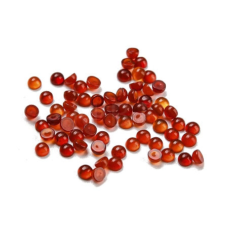 Natural Carnelian Cabochons G-H309-02-09-1
