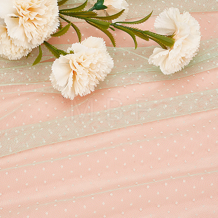 Polyester Mesh Fabric DIY-WH20062-158C-1