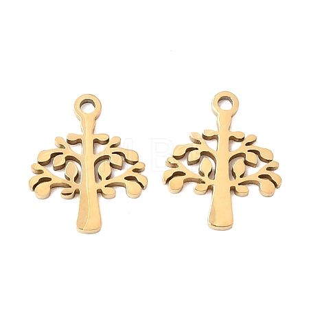 304 Stainless Steel Charms STAS-I151-16G-1