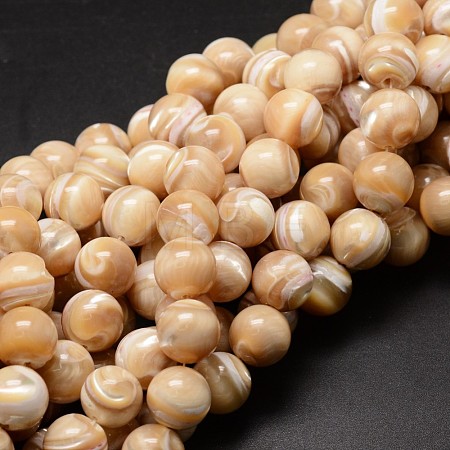 Natural Sea Shell Beads Strands SSHEL-K013-12mm-B-1