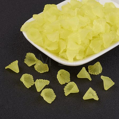 Transparent Acrylic Beads PL622-C13-1