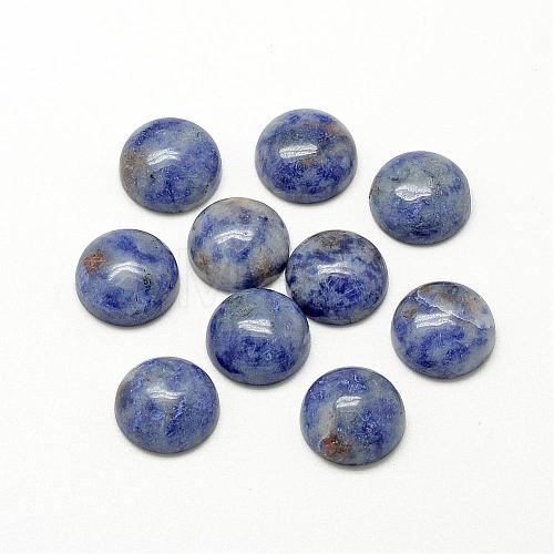 Natural Blue Spot Jasper Cabochons G-R416-20mm-45-1