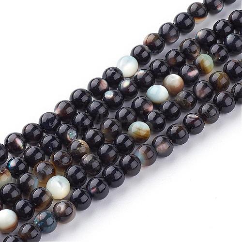 Natural Black Lip Shell Bead Strands SSHEL-Q298-02-1