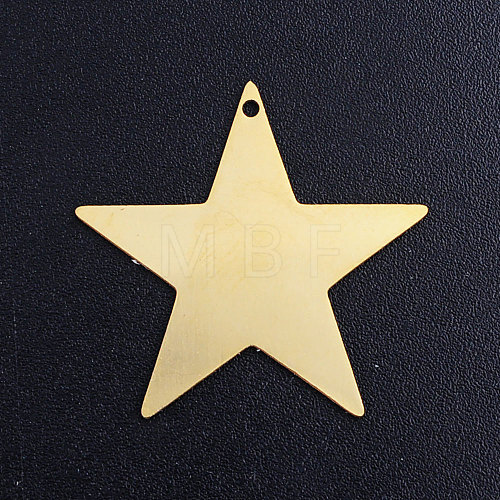 201 Stainless Steel Charms STAS-T049-T688-2-1