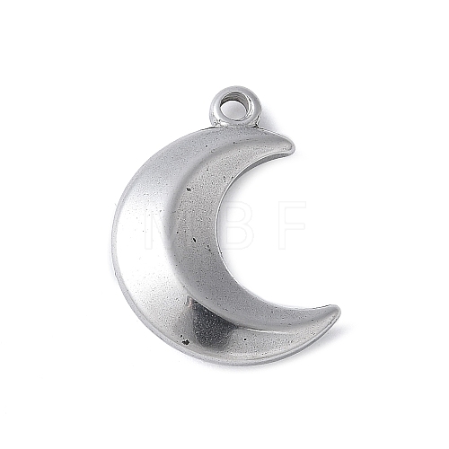 304 Stainless Steel Pendants STAS-E548-05P-1