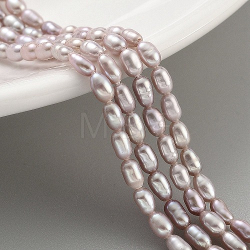 Natural Cultured Freshwater Pearl Beads Strands PEAR-P062-02B-1