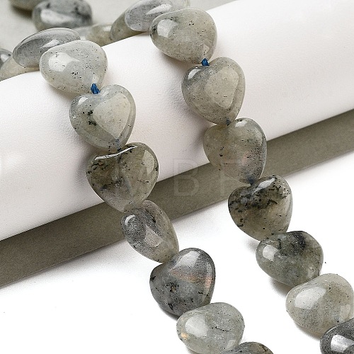 Natural Labradorite Beads Strands G-B022-32C-1