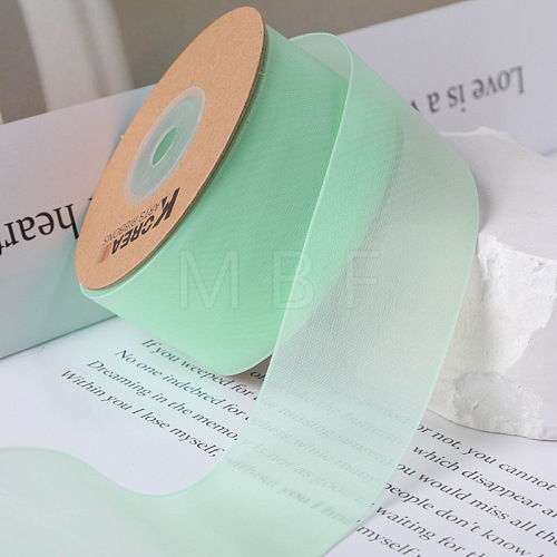 Polyester Ribbons PW-WG70966-24-1