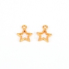 Alloy Charms PALLOY-CD0001-02G-2