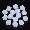 Imitation Jelly Acrylic Berry Beads JACR-R023-01-1