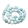 Natural Larimar Beads Strands G-F675-08-2