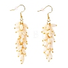 Natural Trochid Shell/Trochus Shell Cluster Earrings EJEW-JE04348-1