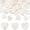 2 Strands Natural Freshwater Shell Beads Strands SHEL-SC0001-35-1