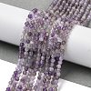Natural Amethyst Beads Strands G-G189-D22-02-2