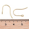 316 Surgical Stainless Steel Earring Hooks X-STAS-P162-13G-B01-3