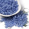 Transparent Colours Glass Seed Beads SEED-F006-03A-09-1