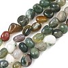 Natural Indian Agate Beads Strands GG-CBA9392-12-2
