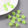 Transparent Acrylic Beads PLF018-05-7