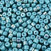 FGB Opaque Colours Glass Seed Beads SEED-Q040-07A-A08-3