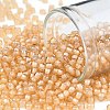 TOHO 8/0 Round Beads SEED-XTR08-0391-1