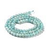 Natural Amazonite Beads Strands G-J400-A07-03-3
