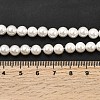 Electroplated Shell Pearl Beads Strands BSHE-K017-6mm-4