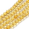 Natural Amber Beads Strands G-K308-D01-5mm-3