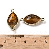 Natural Tiger Eye Faceted Connector Charms G-K347-03G-20-3